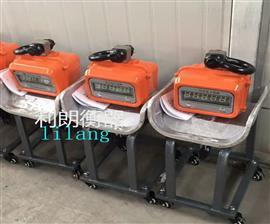 河南省5噸耐*溫電子吊稱批發