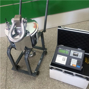 長沙30噸無線電子吊塔稱